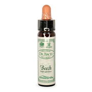 Ainsworths Bach Flower Essence - Beech 10ml