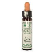 Ainsworths Bach Flower Essence - Gorse 10ml