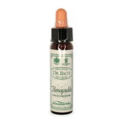 Ainsworths Bach Flower Essence - Honeysuckle 10ml