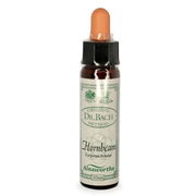 Ainsworths Bach Flower Essence - Hornbeam 10ml