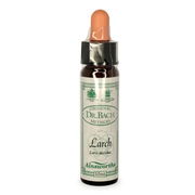 Ainsworths Bach Flower Essence - Larch 10ml ChemiStop