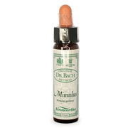 Ainsworths Bach Flower Essence - Mimulus 10ml