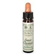 Ainsworths Bach Flower Essence - Sweet Chestnut 10ml