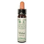 Ainsworths Bach Flower Essence - Walnut 10ml