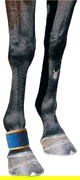 Dick Wicks Therapeutic Magnetic Horse Pastern/Fetlock Boot