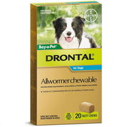 Drontal Allwormer Chewable for Medium Dogs (3-10kg) X 20